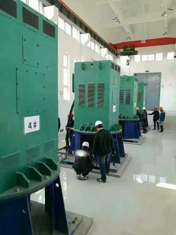 鲤城某污水处理厂使用我厂的立式高压电机安装现场