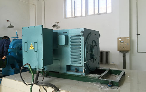 鲤城某水电站工程主水泵使用我公司高压电机